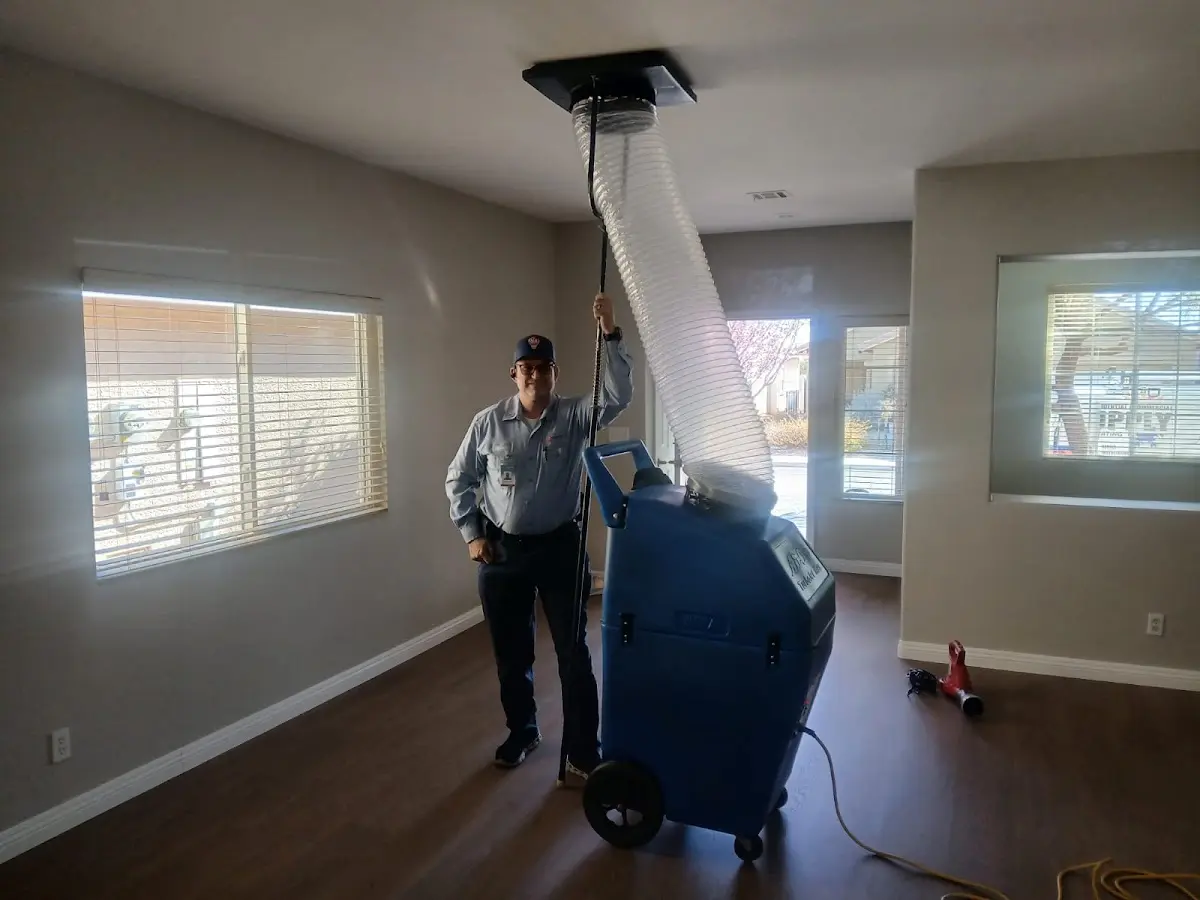 Professional Dryer Vent Cleaning work inside a Hillside home